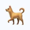 Visual hound